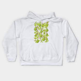 Pears Kids Hoodie